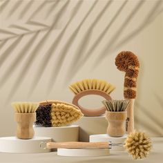 several different types of brushes are arranged on pedestals in front of a beige wall