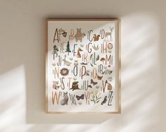 an animal alphabet poster hanging on the wall in a room with sunlight coming through it