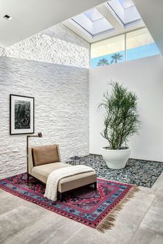 a living room with a couch, rug and potted plant