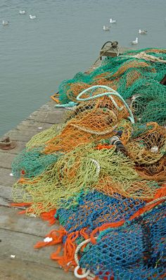 there are many fishing nets on the dock by the water with ducks in the background