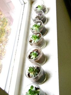 there are many small pots with plants in them on the window sill by the window