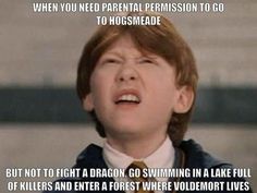 Harry Potter Funny Pictures, Glume Harry Potter, Funny Harry Potter Jokes, Harry Potter Memes Hilarious, Harry Potter Feels, Harry Potter Puns, Harry Potter Images, Images Harry Potter, Harry Potter Pictures