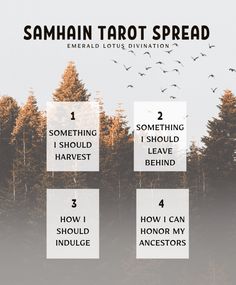 4 Card Samhain Tarot Spread — Emerald Lotus Divination Pagan Traditions, Bubble Bubble, Tarot Tips, Tarot Astrology, Oracle Tarot