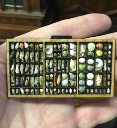 Mini Doll House, Shell Crafts Diy, Shell Collection, Miniature Rooms, Westchester County, 자수 디자인, Miniature Crafts