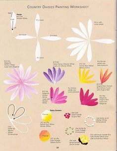 a poster with different types of flowers and their names on it's back side