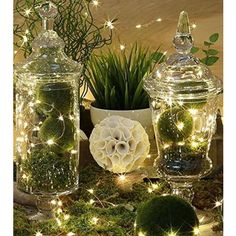 Originals Group 4 Packs of 6ft LEDs String Lights Mini Batteries Included for Wedding Centerpieces,Teepee Tent, Patio, P - Originalsgroup Mason Jar Fairy Lights, Lighted Centerpieces, Starry Lights, Fairy String Lights, Deco Floral, Mason Jar Diy, Noel Christmas, Christmas Centerpieces, Holiday Lights