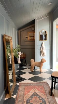 a dog is standing in the hallway next to a mirror and rug on the floor