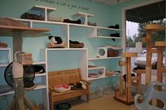 a room filled with lots of different types of shoes and other things on shelves next to each other