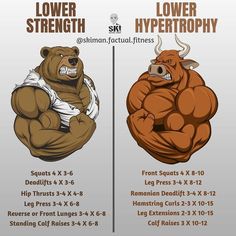 the differences between lower body and lower body muscles are shown in this graphic chart, which shows