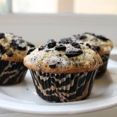 three chocolate chip muffins on a white plate