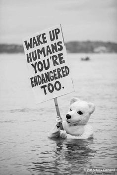 a teddy bear holding a sign that says wake up humans you're endangered too