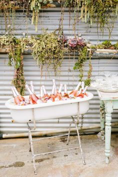 a bath tub filled with lots of food next to a wall covered in hanging plants