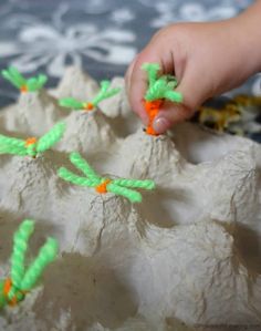 a child's hand reaching for carrots on a rock