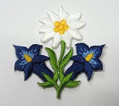 three blue and white flowers with yellow centers on a white background, one is in the center