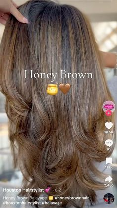 Hair Dye Ideas Caramel, Teddy Bear Highlights, Brownie Balayage, Brown Base With Caramel Highlights, Balayage Honey Brown, Honey Brown Highlights, Honey Brown Hair Color, Teddy Bear Brown, Honey Brown Hair