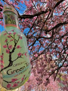 a green tea bottle hanging from a tree with pink flowers