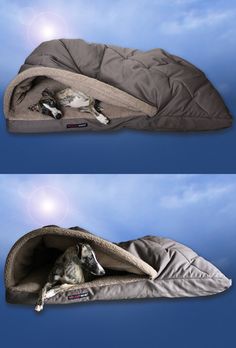 two pictures of a dog laying in a sleeping bag