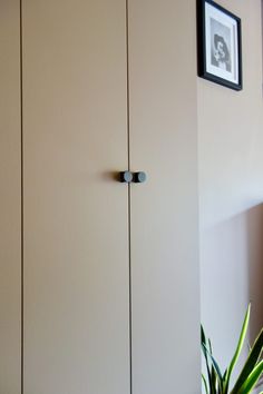 a white cabinet sitting next to a potted plant