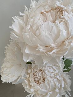 3 Free-Standing Oversized Paper Peonies, 3 Big Standing Paper Flowers, Window Display Decor, Event Decor Giant Paper Flowers 152cm | 5ft - 1pc 137cm | 4.5ft - 1pc 119cm | 3.9ft - 1pc Transform your special events, shop windows, and cafes into a stunning visual spectacle with our exquisite collection of large paper flowers made of isolon. Each flower is uniquely handmade and crafted with exceptional attention to detail to ensure a remarkable finish.  These giant flowers are perfect for decorating weddings, holiday celebrations, or any special event, and are sure to leave a lasting impression on your guests. Our collection of paper flowers offers a wide variety of colors and designs, making them a great addition to your decor.  These oversized blooms are expertly crafted and come with sturdy Feminine Home Office Classy With Paper Flowers, Oversized Wall Flowers, Giant Paper Flower Backdrop Especially Paper, Large Paper Flowers Tutorial, Professional Paper Flowers, Cricut Giant Flowers, Giant Paper Wreath, Large Paper Chanel Flower, Crepe Paper Flowers Peonies