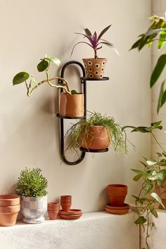 several potted plants are hanging on the wall next to each other in different pots