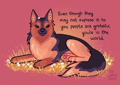 a dog sitting in the grass with a quote on it's back and an orange background