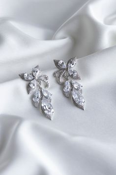 Earrings Silver