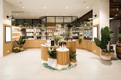 the inside of a store filled with plants and potted planters on display in front of wooden shelves