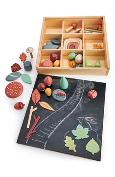 a wooden box filled with lots of different types of rocks and leaves on top of a blackboard