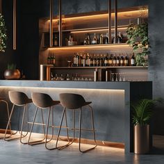 three bar stools sit in front of a counter with bottles on it and plants