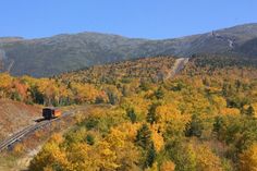 a train traveling through a forest filled with lots of fall colored trees in the mountains