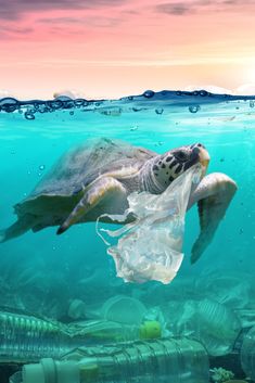 a turtle swimming in the ocean with plastic bags around it and an advertise that reads, international plastic bag free day july 3rd save our ocean