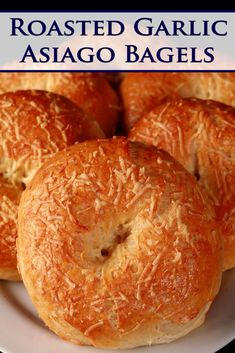 Asiago Cheese Bagels, Flavored Bagel Recipe, Sweet Bagel Recipe, Asiago Cheese Bagel Recipe, Bagels Ideas, Chocolate Chip Bagel Recipe, Asiago Bagel Recipe, Yeast Bagels, Bagel Spread Recipes