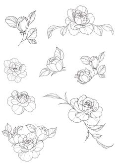 some flowers that are drawn in black and white