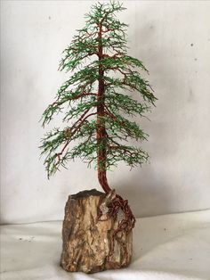 a small pine tree sitting on top of a piece of wood next to a rock