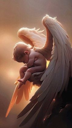 a baby is sitting on top of an angel's wing with its wings spread