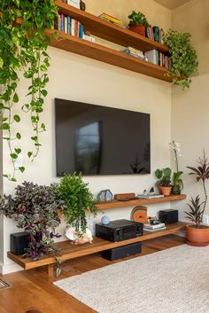 a flat screen tv sitting on top of a wooden shelf next to a potted plant