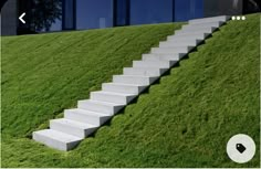 there is a set of stairs on the grass