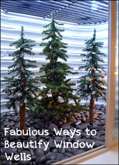 there is a window with trees in it and the words fabulous ways to beautify windows