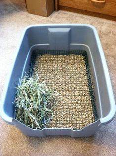 a blue litter box filled with grass on the floor