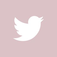 a white twitter logo on a pink background