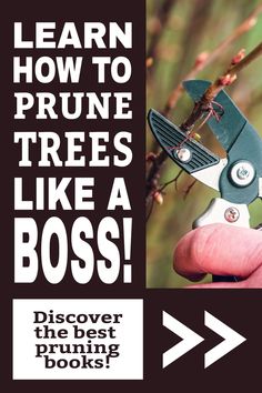 a pair of scissors is being used to prune tree branches with the words learn how to prune trees like a boss