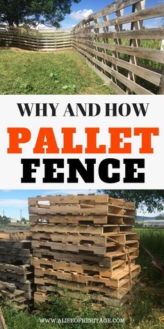 pallet fence with text overlay that reads, why and how to build a pallet fence