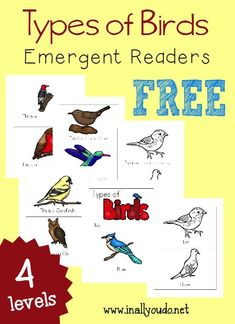 the four types of birds emerge readers are shown in this free printable book for kids