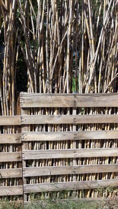 two wooden crates sitting next to each other in front of some tall grass and trees