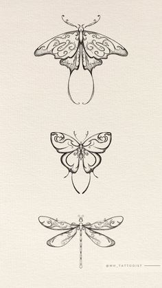 three different types of dragonflies on a white paper with the words, i love them