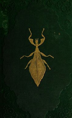 an insect is shown on the cover of a green book with gold trimmings