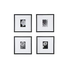 four black and white pictures hanging on a wall next to each other with flowers in them