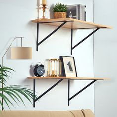 a living room filled with furniture and a wall mounted shelf above the couch, next to a potted plant