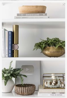 two white shelves with plants and books on them, one has a potted plant