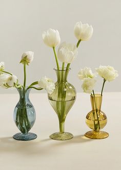 three vases with white flowers in them on a counter top next to each other